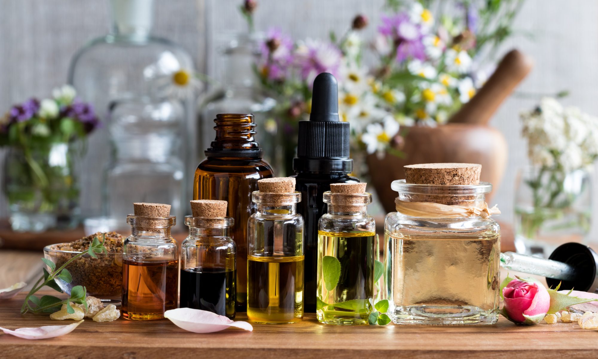 L'aromathérapie : les bienfaits des huiles essentielles au quotidien -  Christian Lénart